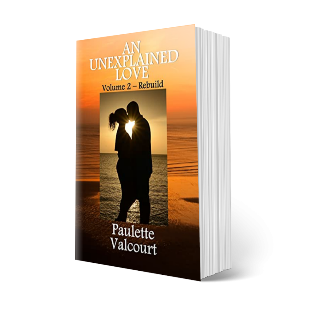 An Unexplained Love Volume Ii Rebuild Bestselling Author